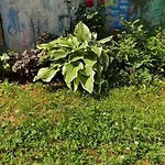 Apartment Centrum Garden - ,,parking Free
