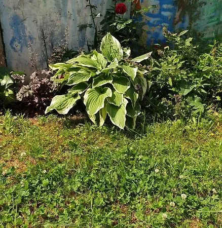 Apartment Centrum Garden - ,,parking Free