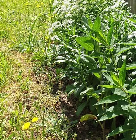 Centrum Garden - ,,parking Free