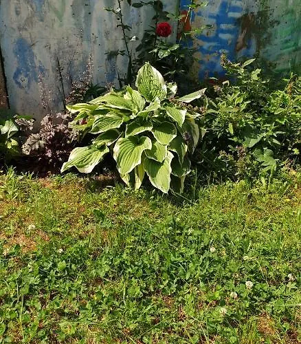 Apartment Centrum Garden - ,,parking Free