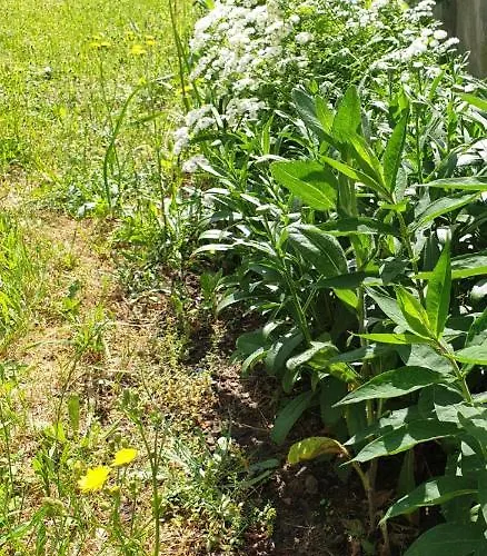 Centrum Garden - ,,parking Free